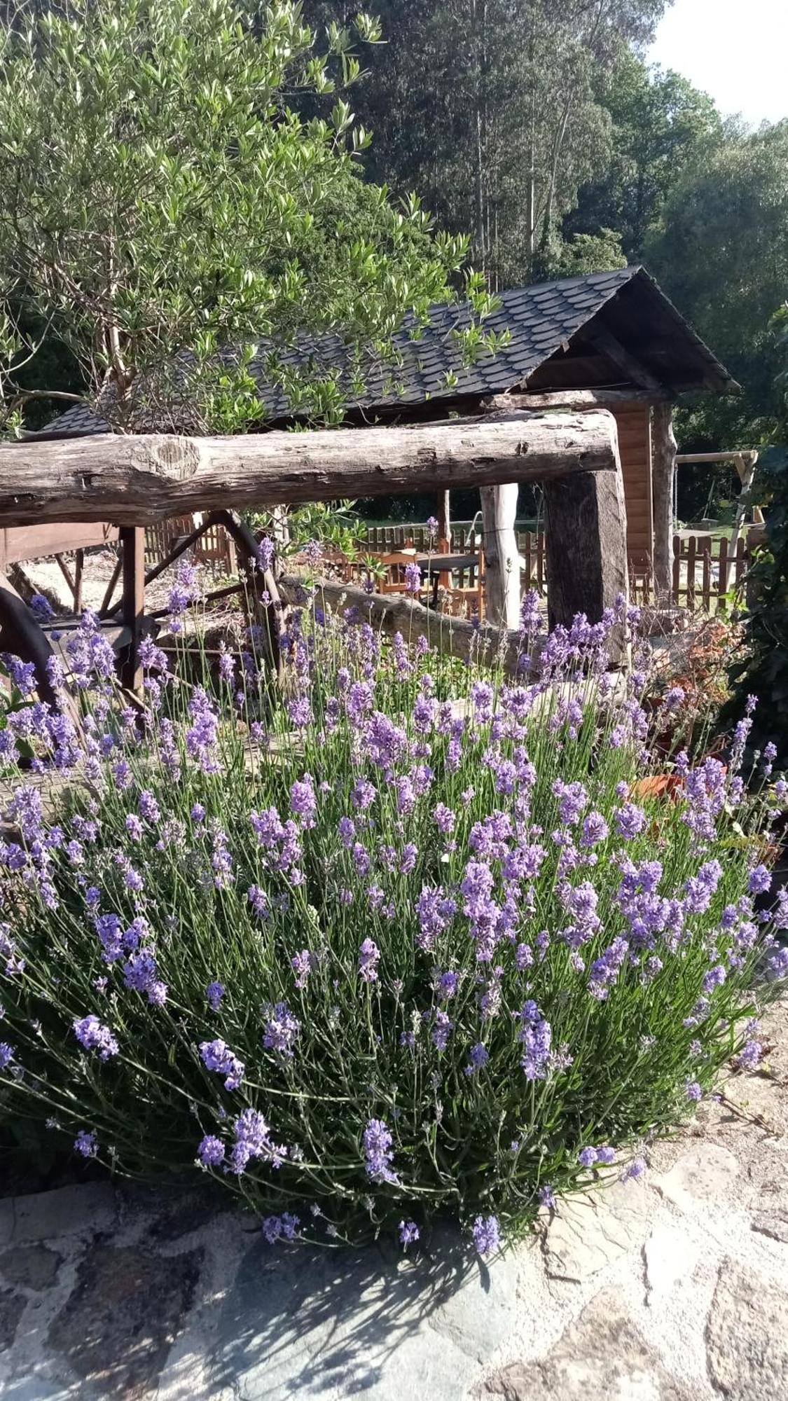A Casa Das Augas Mondoñedo Εξωτερικό φωτογραφία